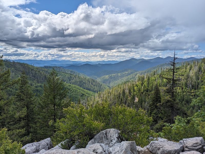 Hiking Trails Above Ground: The Big Tree and Beyond Hiking Trails Above Ground: The Big Tree and Beyond