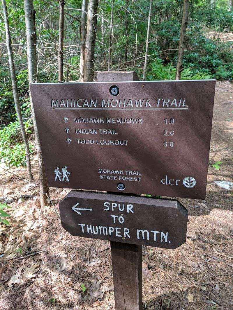 Hiking Trails From Easy to Challenging Hiking Trails From Easy to Challenging