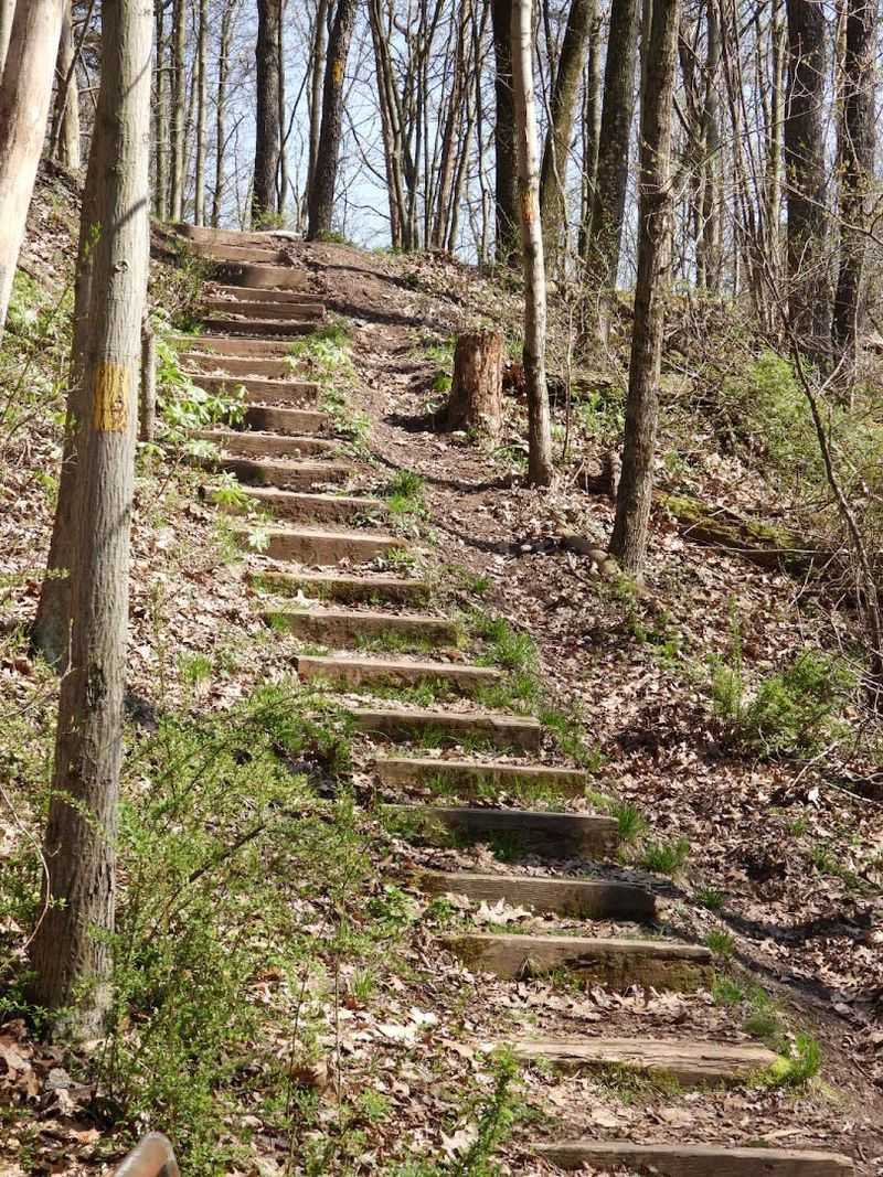 Hiking Trails That Actually Reward the Effort Hiking Trails That Actually Reward the Effort