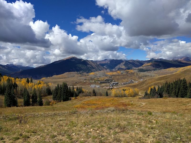 Hiking Trails That Put You Right Inside the Blooms