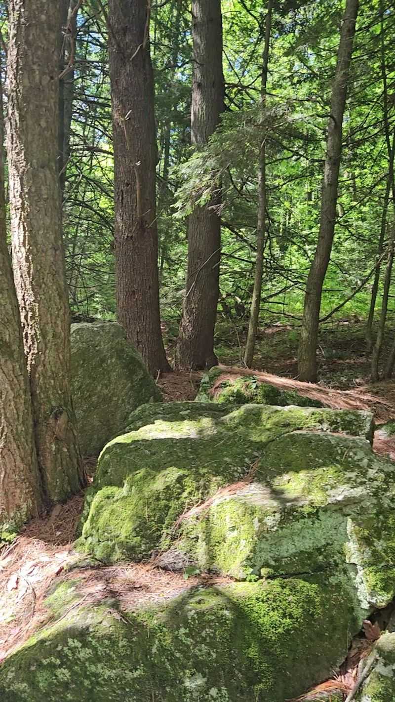 Hiking Trails That Reward Curiosity at Every Turn Hiking Trails That Reward Curiosity at Every Turn