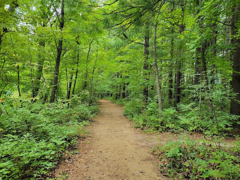 Hiking Trails That Reward the Effort