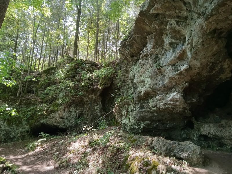 Hiking Trails With Rocky Surprises Along the Way Hiking Trails With Rocky Surprises Along the Way