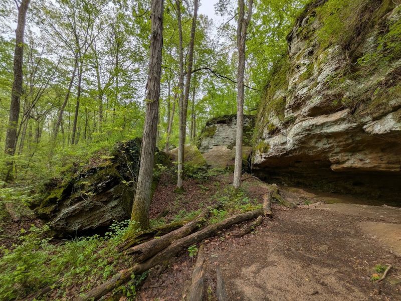 Hiking Trails and the Park That Surrounds It All Hiking Trails and the Park That Surrounds It All