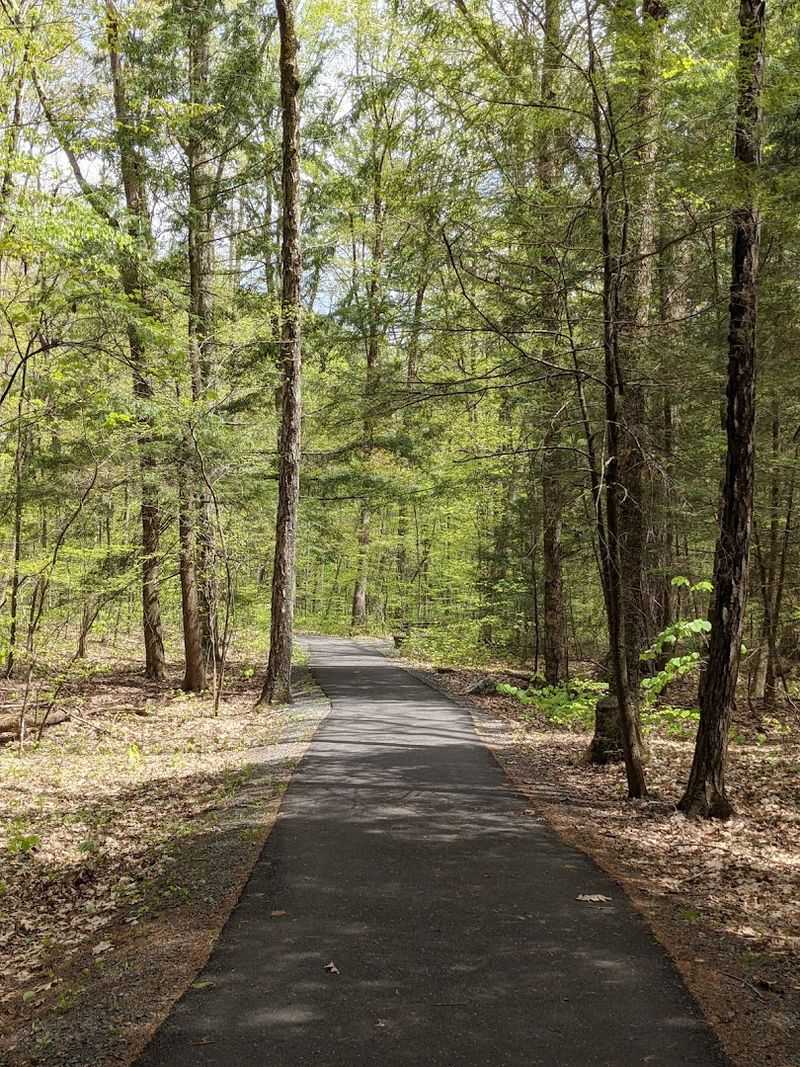 Hiking Trails for Every Level of Effort