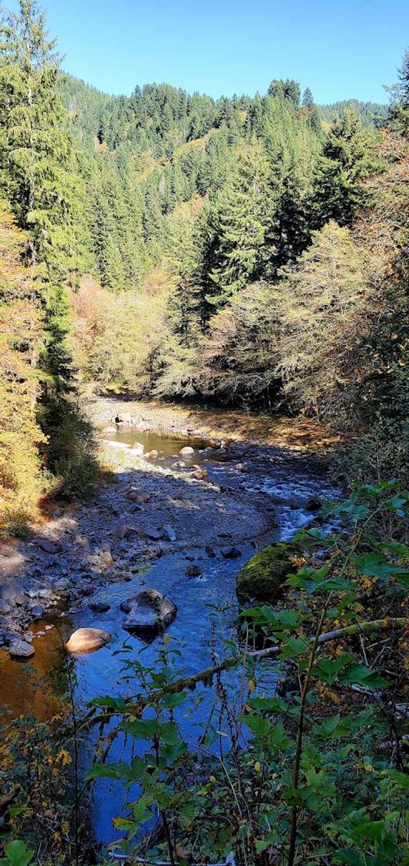 Hiking Trails for Every Pace and Skill Level Hiking Trails for Every Pace and Skill Level
