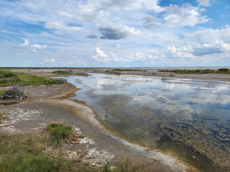 Hiking the Big Marsh Boardwalk and Sandpiper Nature Trail