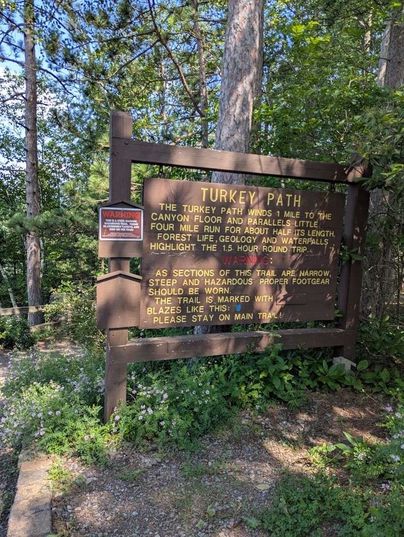 Hiking the Turkey Path: The Canyon's Most Rewarding Vertical Challenge