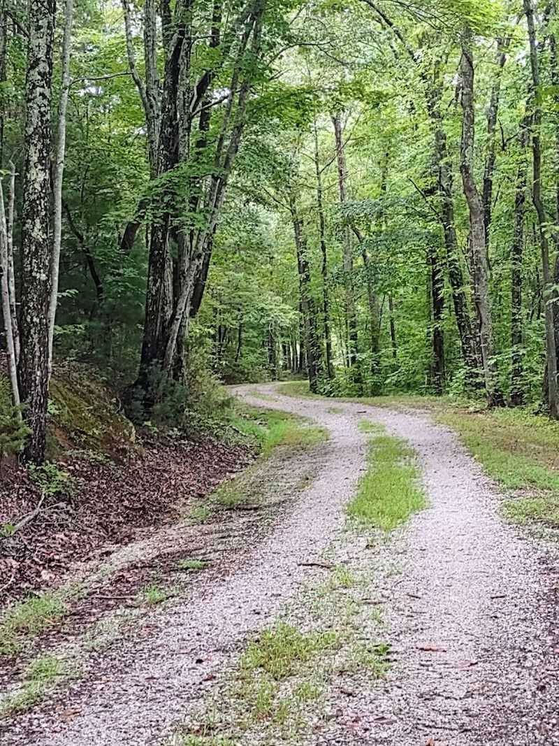 Hiking the Wildly Beautiful Black Oak Ridge Trail System Hiking the Wildly Beautiful Black Oak Ridge Trail System