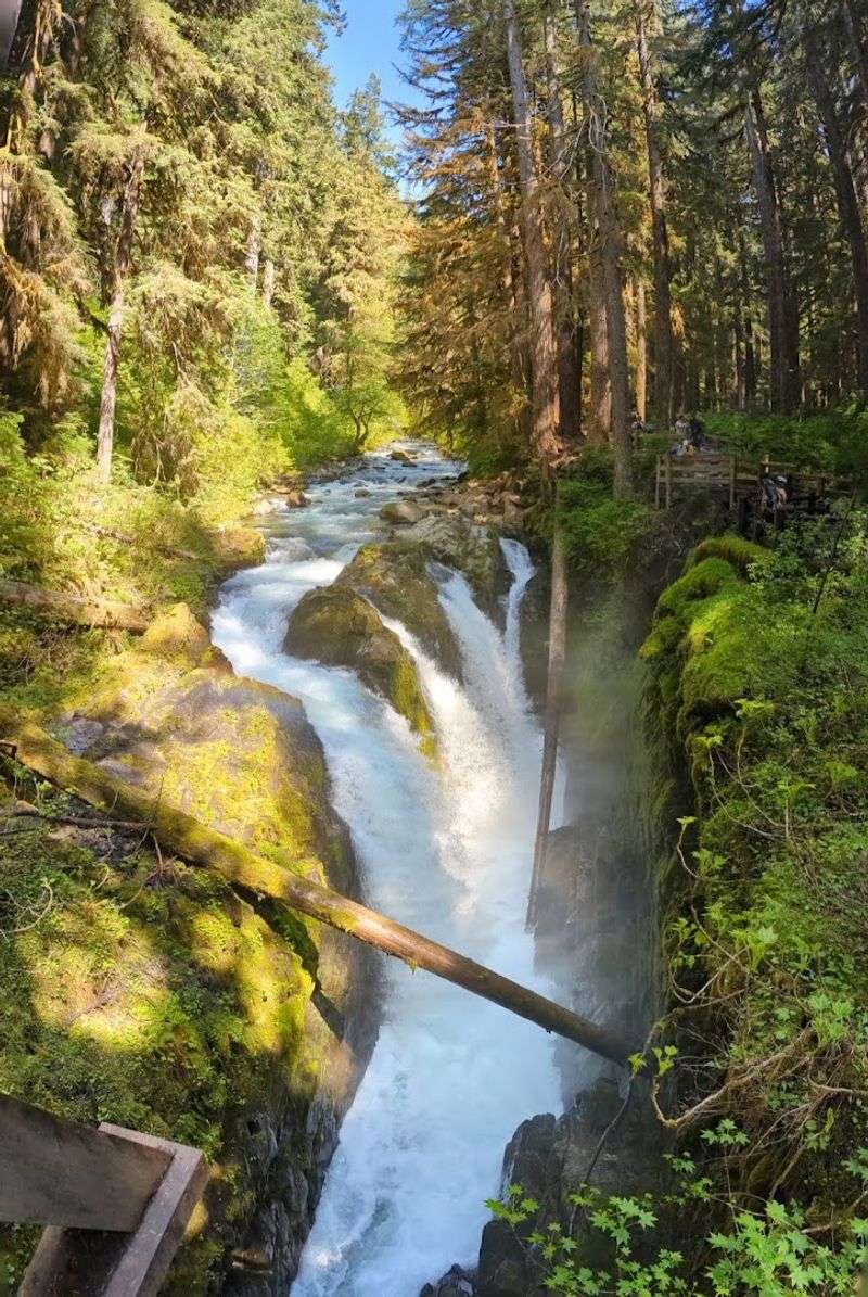 Hiking to Sol Duc Falls Hiking to Sol Duc Falls