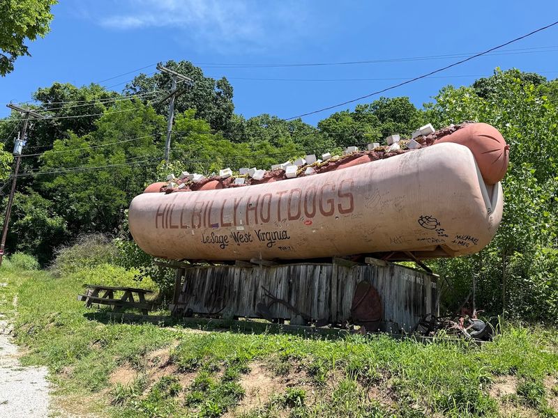 Hillbilly Hot Dogs, Lesage, West Virginia Hillbilly Hot Dogs, Lesage, West Virginia