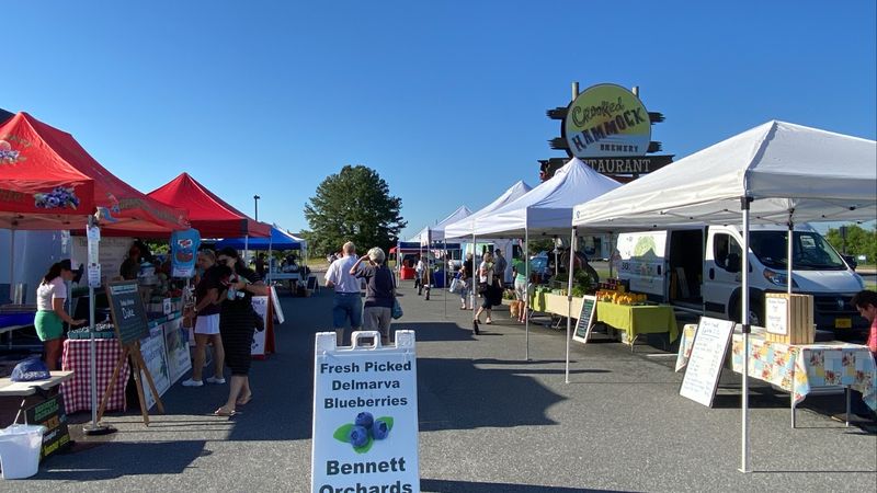 Historic Lewes Farmers Market at Crooked Hammock Brewery, Lewes, Delaware
