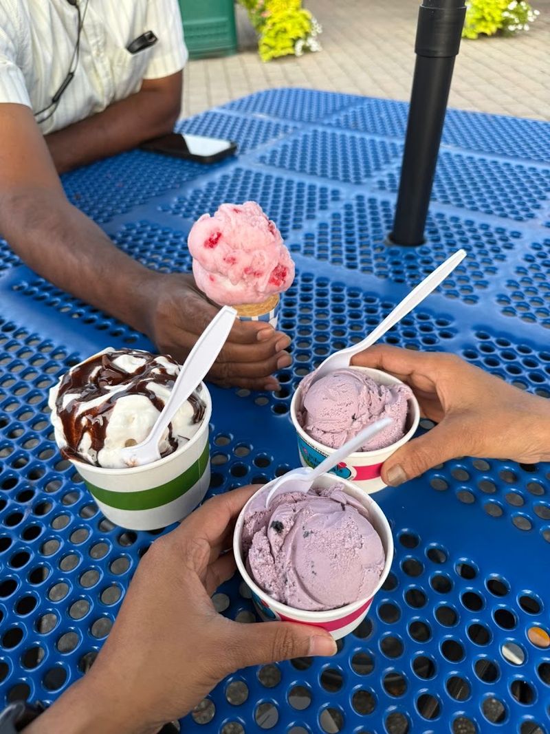 Homemade Ice Cream With Serious Range Homemade Ice Cream With Serious Range