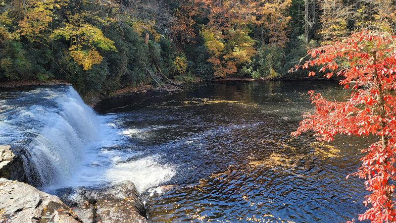 Hooker Falls: The Easiest and Most Swimmer-Friendly Stop Hooker Falls: The Easiest and Most Swimmer-Friendly Stop