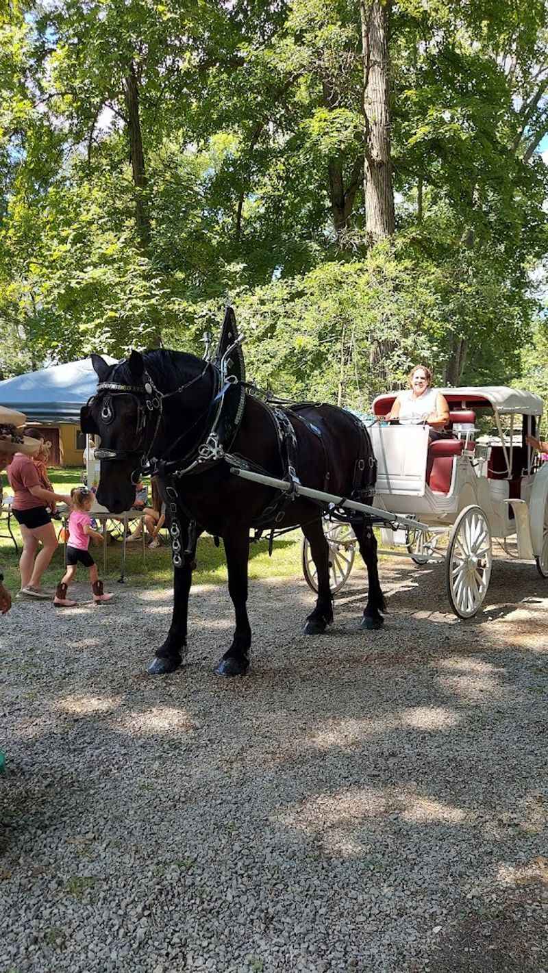 Horse-Drawn Carriage Rides Through the Village