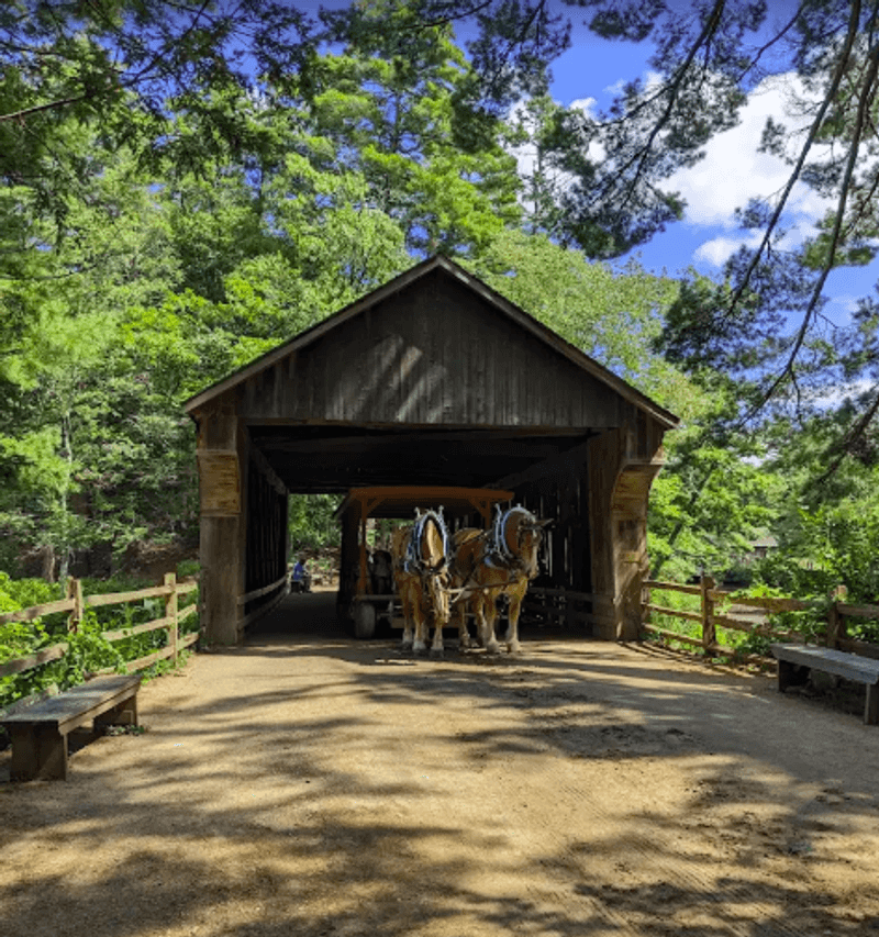 Horse-Drawn Carriage Rides and the Covered Bridge Horse-Drawn Carriage Rides and the Covered Bridge