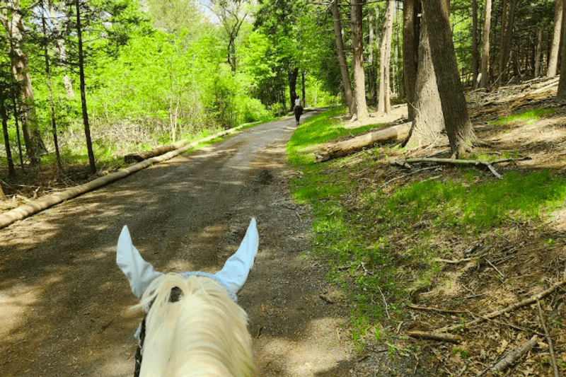 Horseback Riding on Historic Grounds