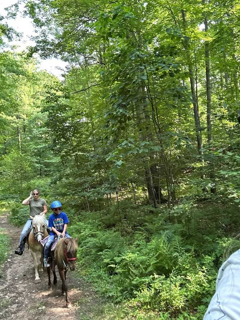 Horses That Actually Enjoy the Job Horses That Actually Enjoy the Job