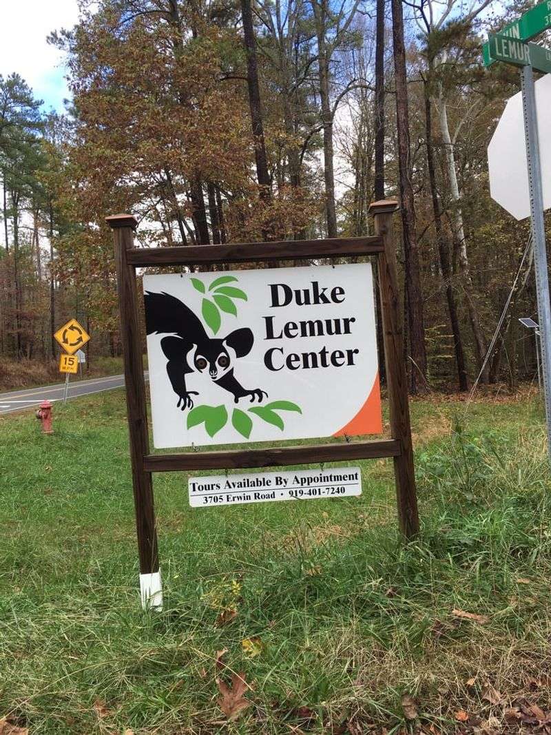 Hours, Reservations, and Free Parking