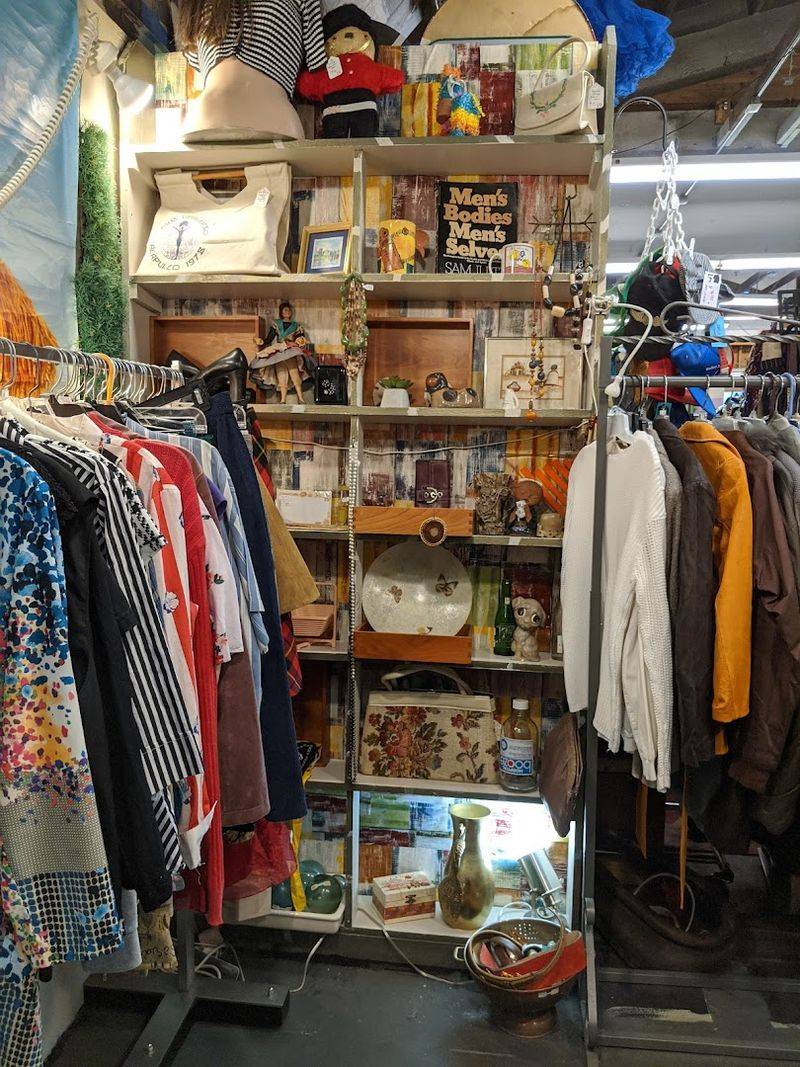 Housewares, Books, and Unexpected Finds Housewares, Books, and Unexpected Finds
