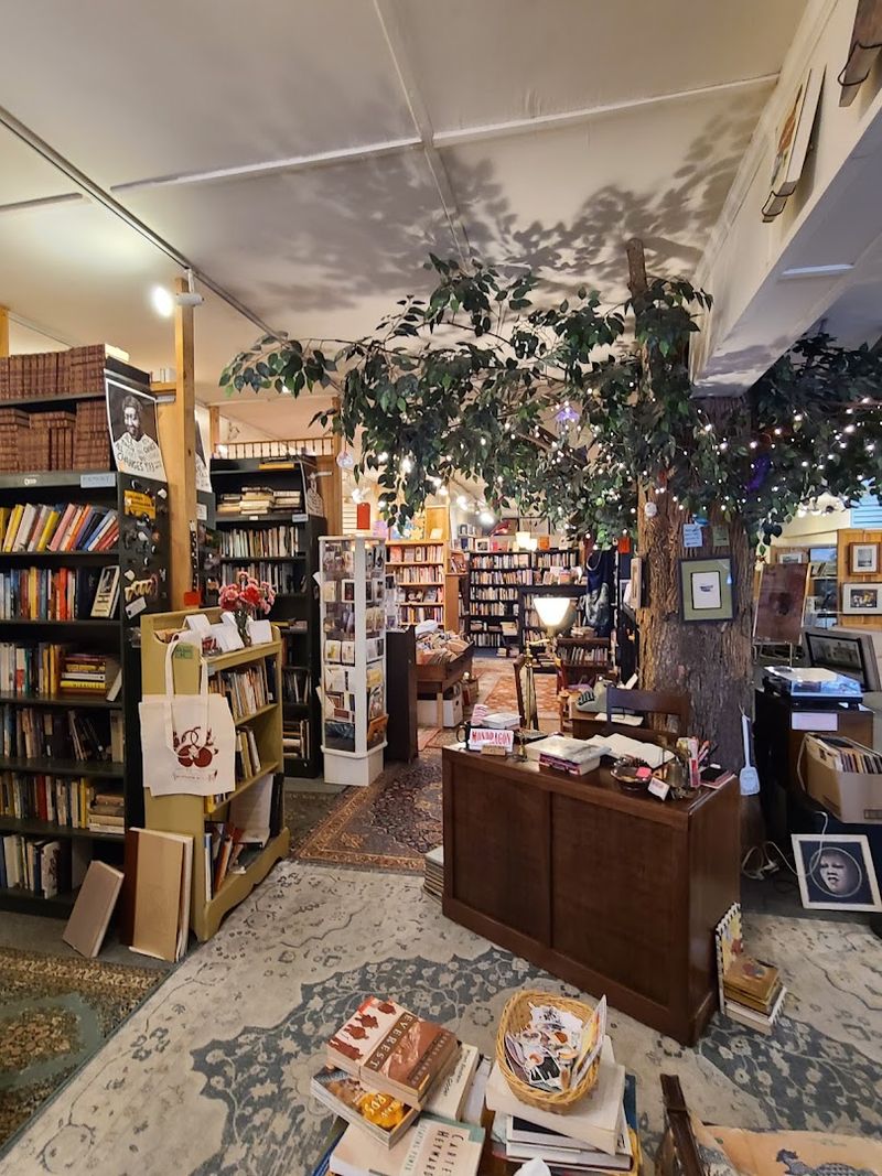 The Story Behind Mondragon Books