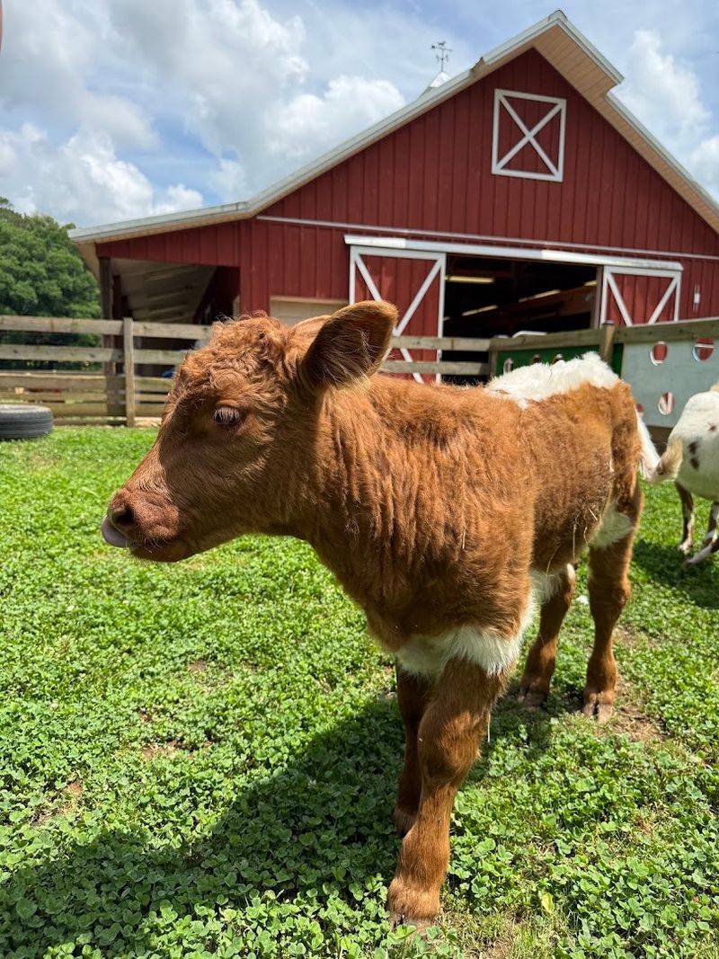 How a Small Farm Became a Wildlife Haven How a Small Farm Became a Wildlife Haven