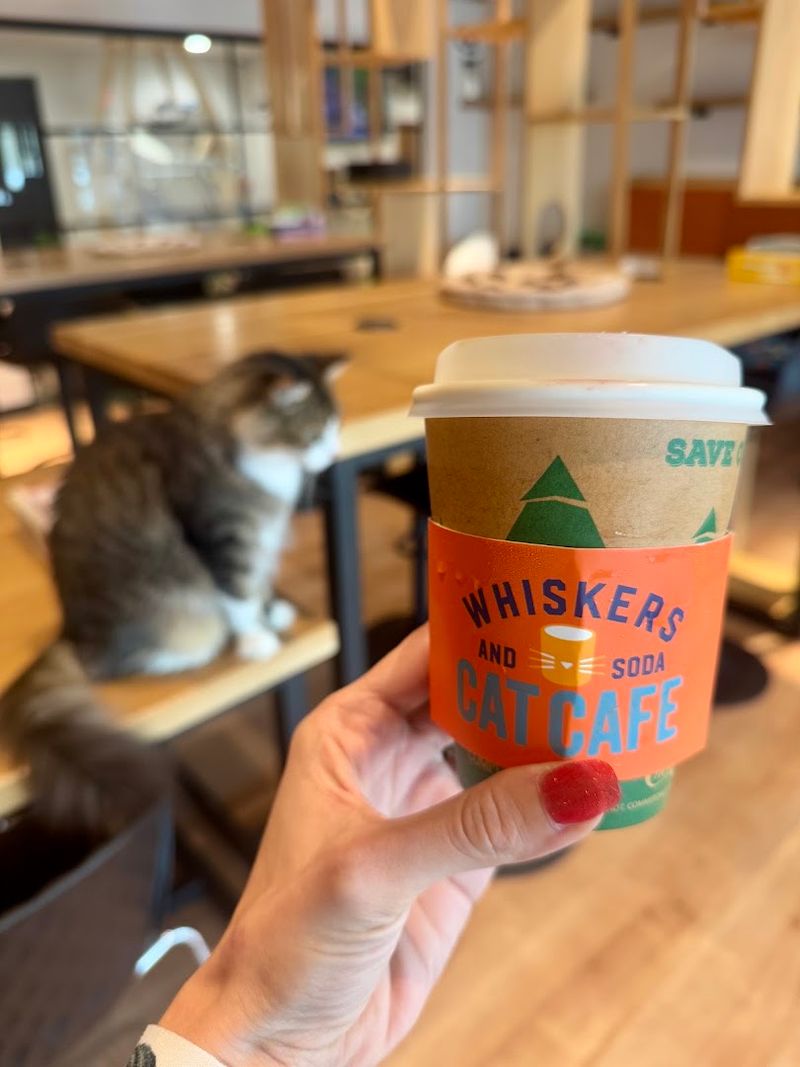 How the Café Supports Its Rescue Mission