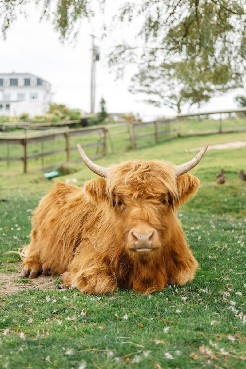 How the Farm Fits Into a Block Island Day Trip