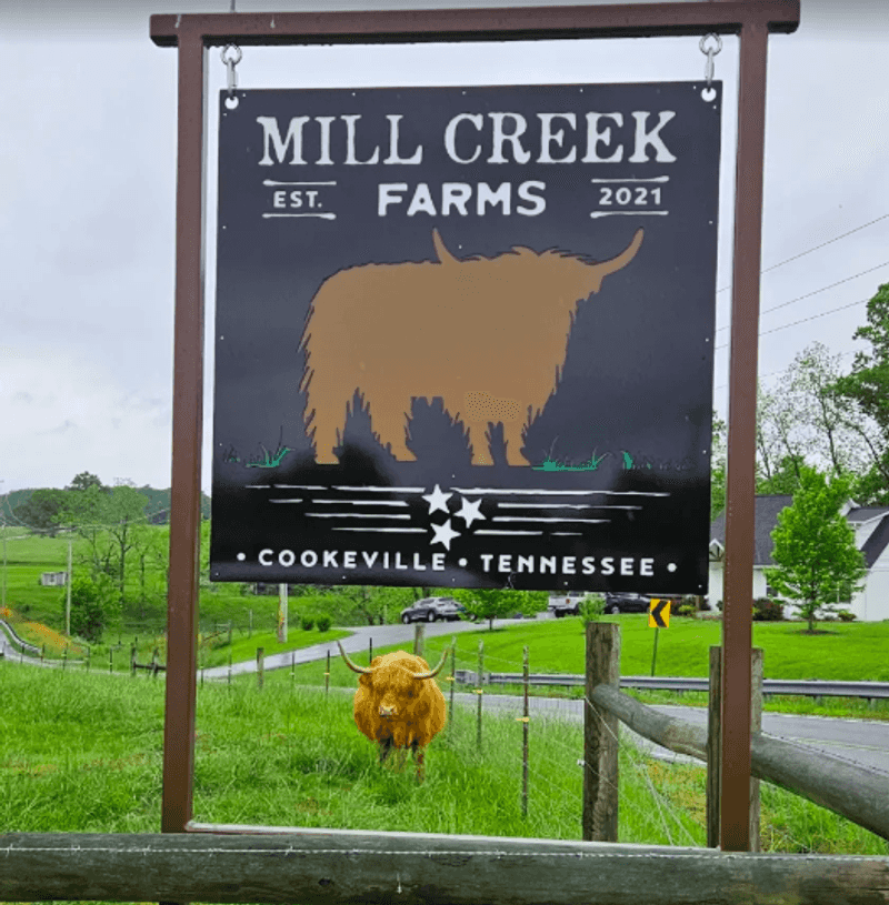 How the Farm Treats Its Animals