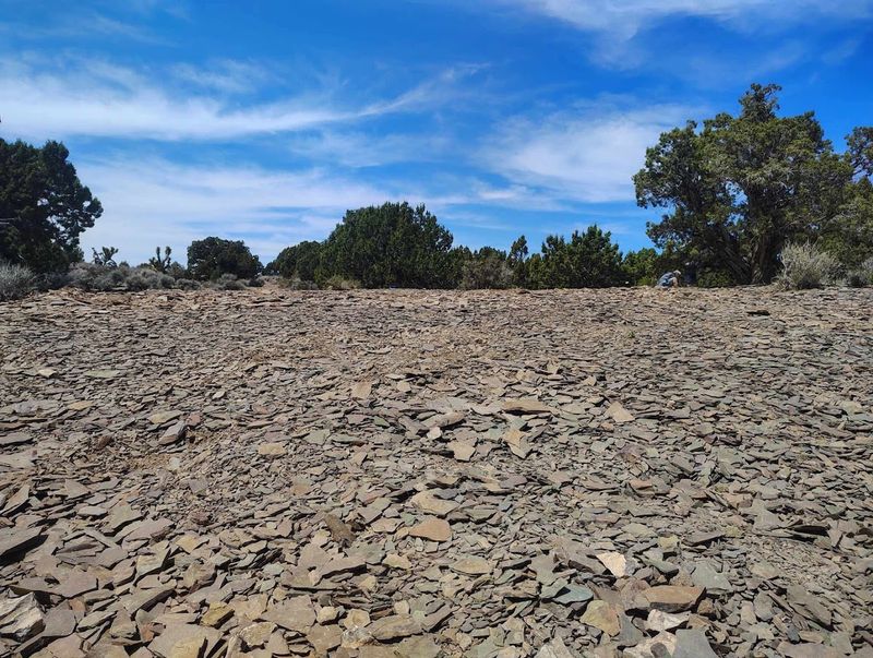 How the Fossil Hunting Actually Works