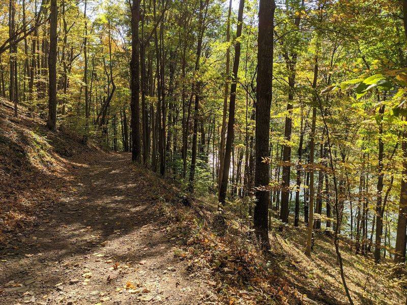How the Park Completely Reinvents Itself With Each Season