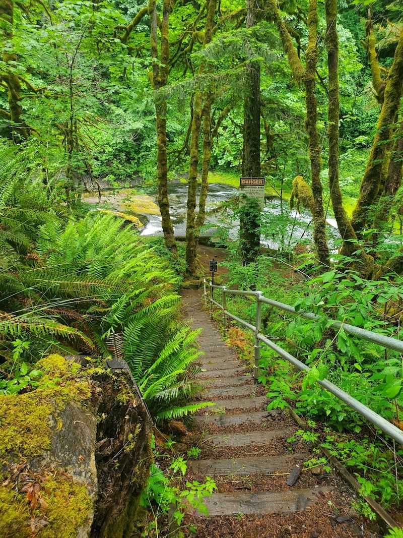 How to Get Down to the Creek and What the Trail Is Like How to Get Down to the Creek and What the Trail Is Like