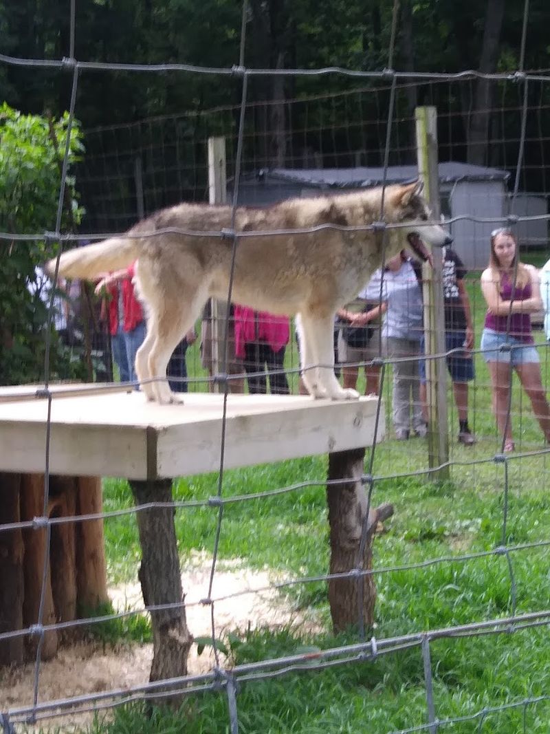 Howl-Ins and Scheduled Visits Howl-Ins and Scheduled Visits