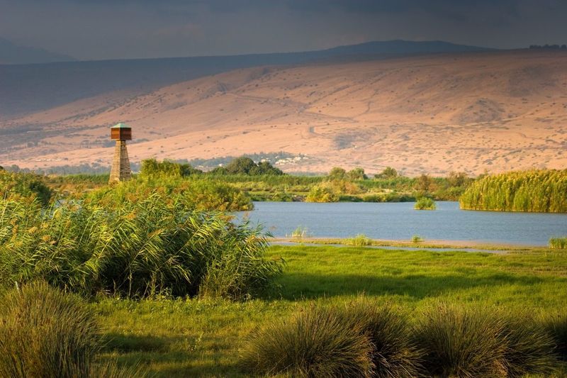 Hula Valley Nature Reserve, Yesod HaMa'ala, Northern District, Israel Hula Valley Nature Reserve, Yesod HaMa'ala, Northern District, Israel