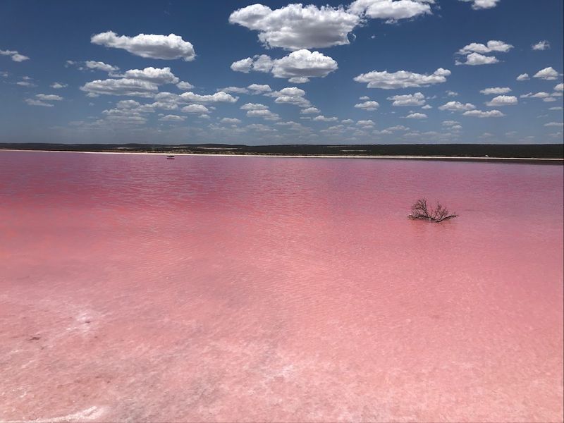 Hutt Lagoon, Western Australia, Australia Hutt Lagoon, Western Australia, Australia