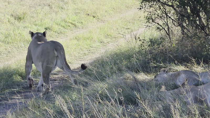 Hwange National Park, Matabeleland North Province, Zimbabwe
