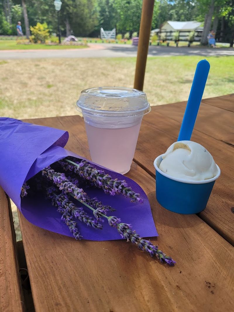 Ice Cream, Lavender Lemonade, and Farm Treats Ice Cream, Lavender Lemonade, and Farm Treats