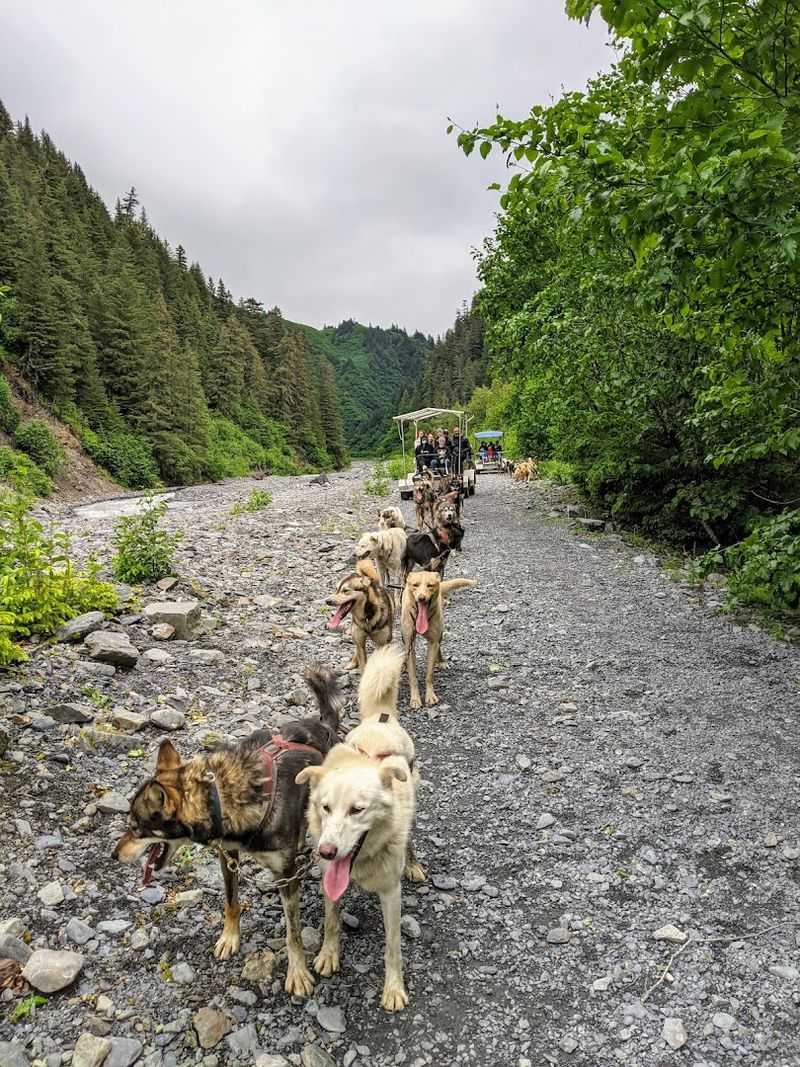 Iditarod National Historic Trail