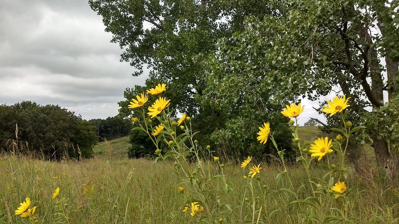 Indian Cave State Park, Shubert, Nebraska