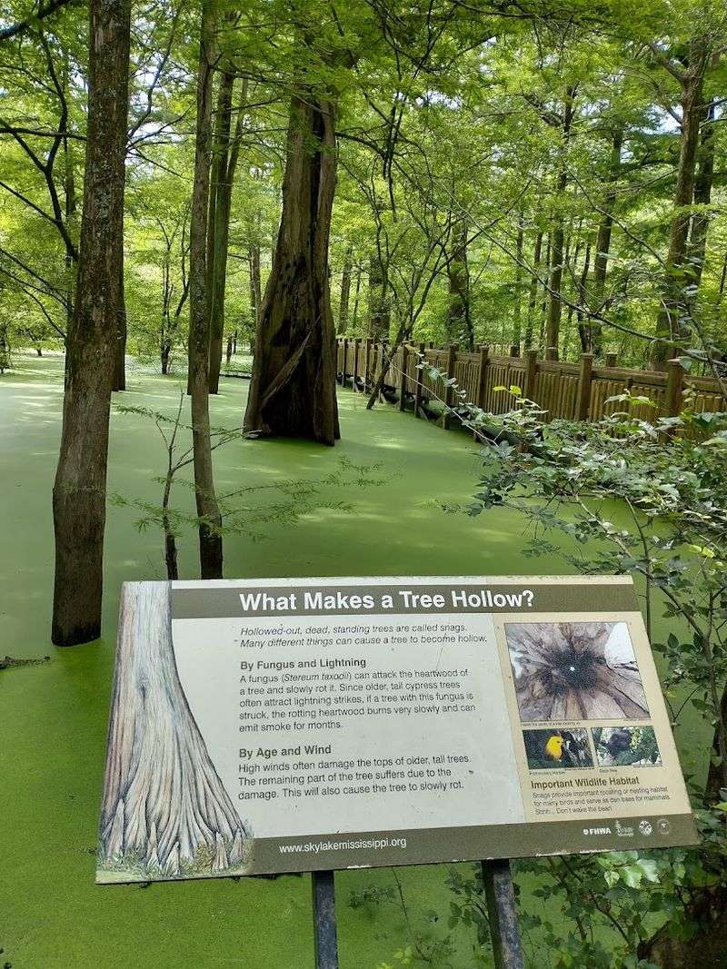 Informational Signs Along the Trail Informational Signs Along the Trail