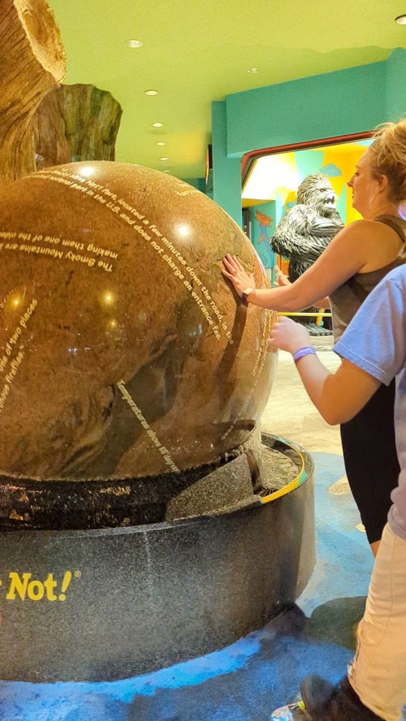 Interactive Exhibits That Actually Do Something Interactive Exhibits That Actually Do Something