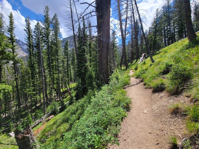 Iron Creek To Goat Lake Trail, Stanley, Idaho Iron Creek To Goat Lake Trail, Stanley, Idaho