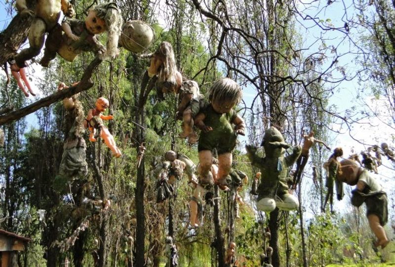 Island of the Dolls (Isla de las Munecas) - Xochimilco, Mexico