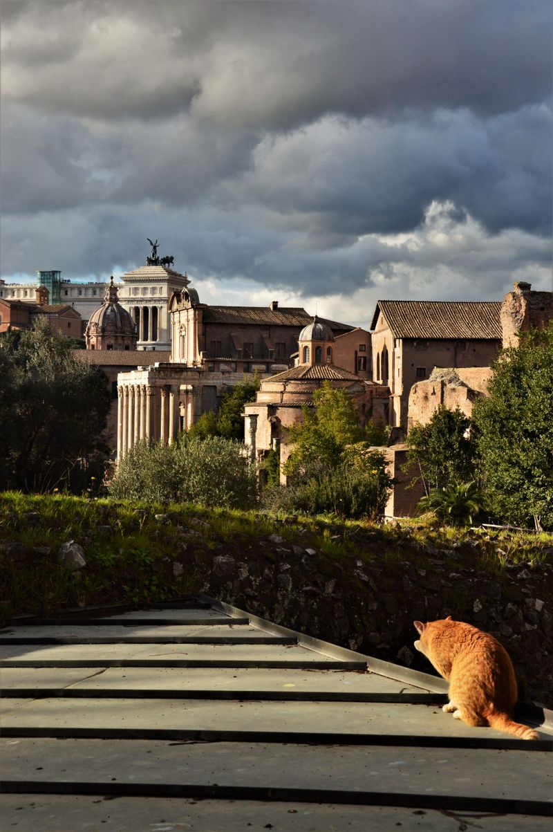 Italy Italy