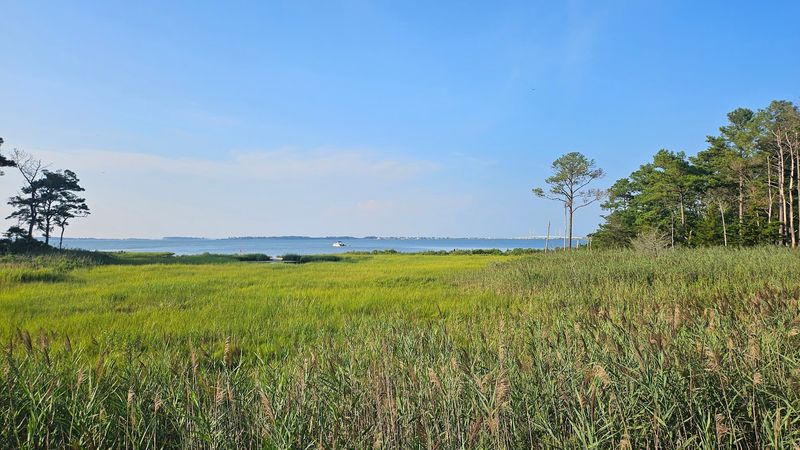 James Farm Ecological Preserve, Ocean View, Delaware James Farm Ecological Preserve, Ocean View, Delaware