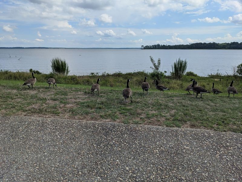Jamestown, Virginia