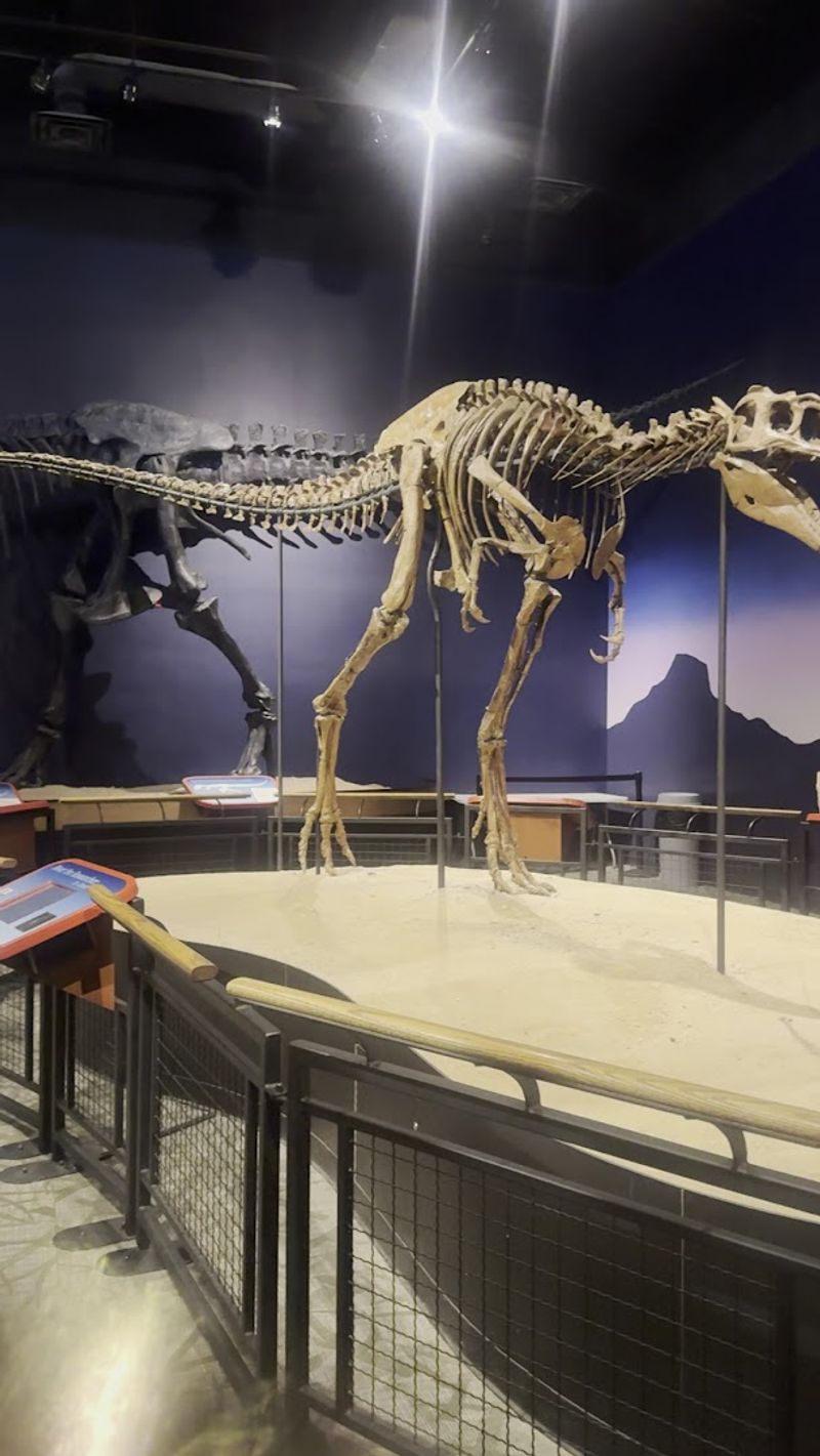Jane the Juvenile T. Rex: The Star of the Show Jane the Juvenile T. Rex: The Star of the Show