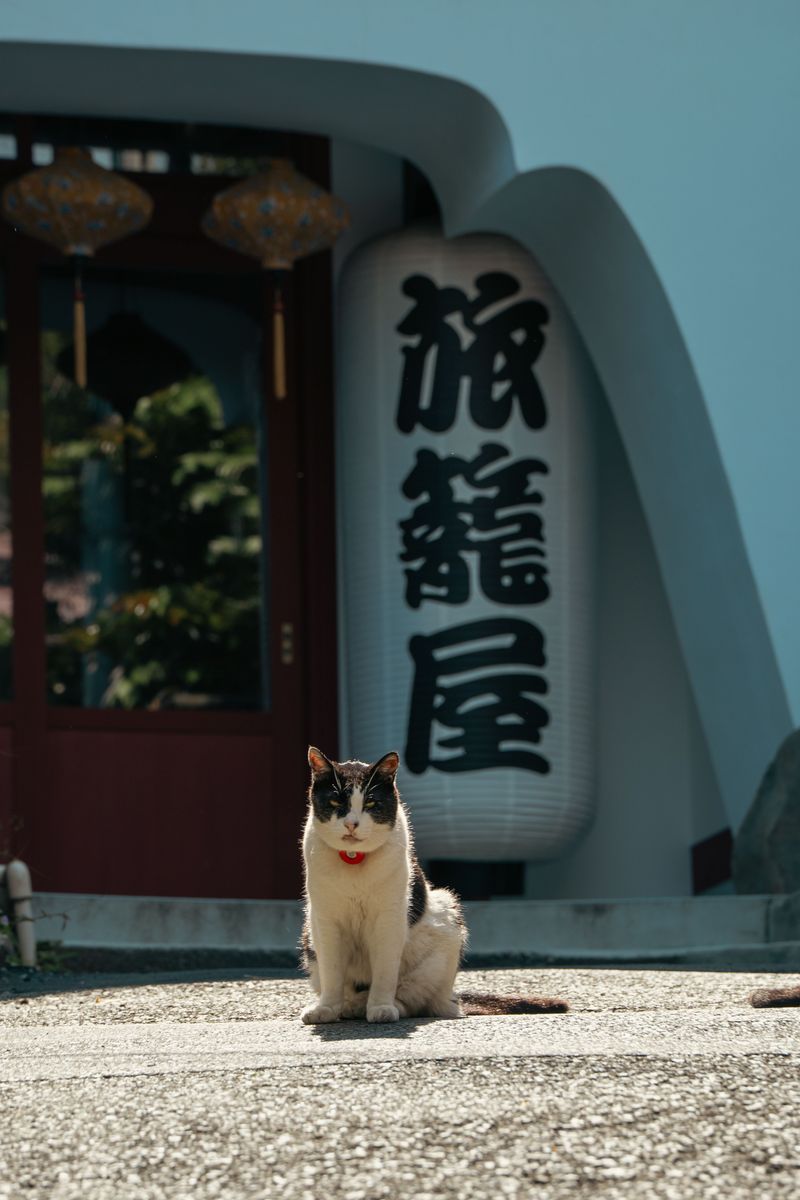 Japan Japan