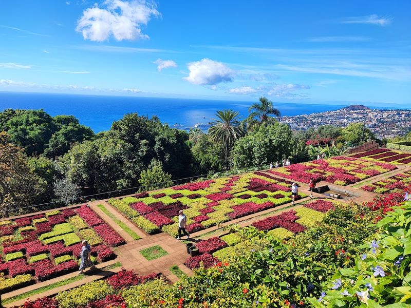 Jardim Botanico da Madeira — Funchal, Portugal Jardim Botanico da Madeira — Funchal, Portugal
