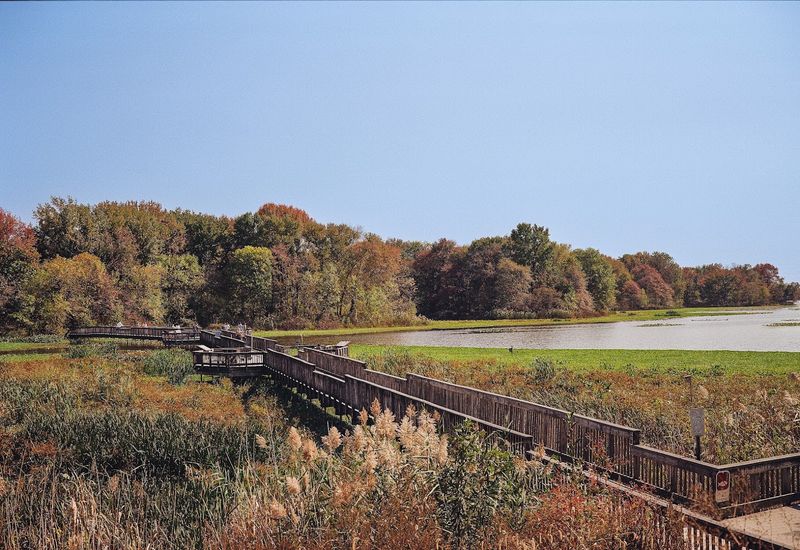 John Heinz National Wildlife Refuge at Tinicum, Philadelphia, Pennsylvania